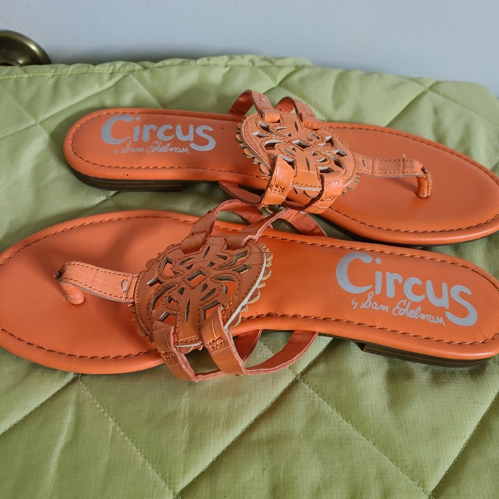 Circus by Sam Edelman Peach Flip-Flop Thing Sandal - Picture 3 of 7